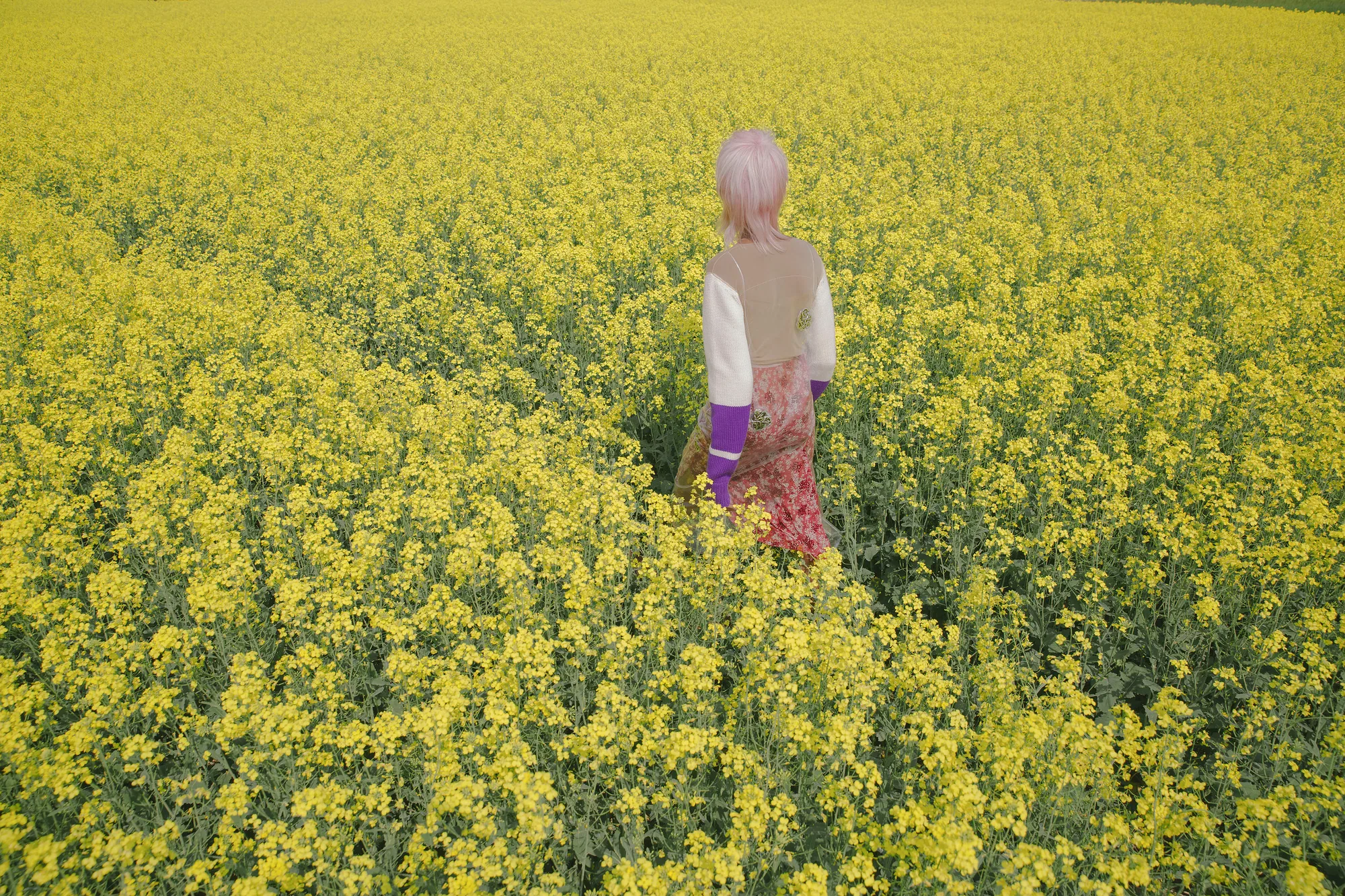 Editorial fashion photograph by Renata Kaveh